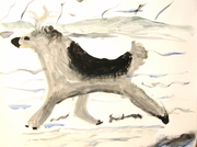 Matthew running in the snow