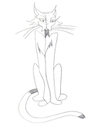 Tessa's cat