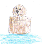 Tessa's dog