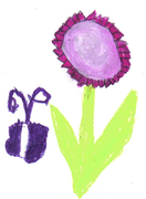 The flower and the insect by Julia age 7
