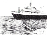 Whale watching